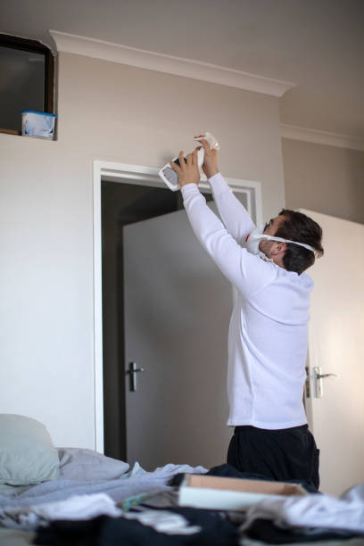 Best Indoor Air Quality Assessment  in Clearwater, FL
