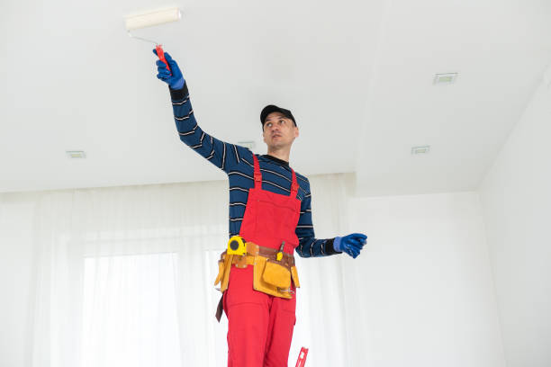 Best Comprehensive Air Testing for Mold Contaminants  in Clearwater, FL
