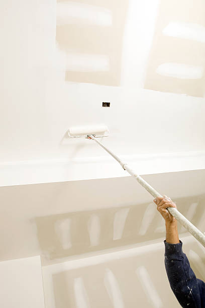 Professional Mold Removal in Clearwater, FL