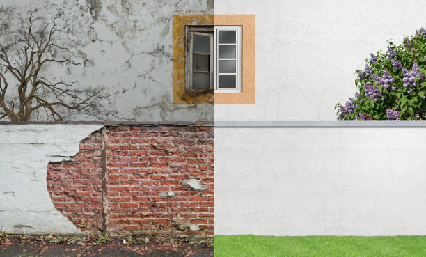 Best Mold Prevention Services  in Clearwater, FL